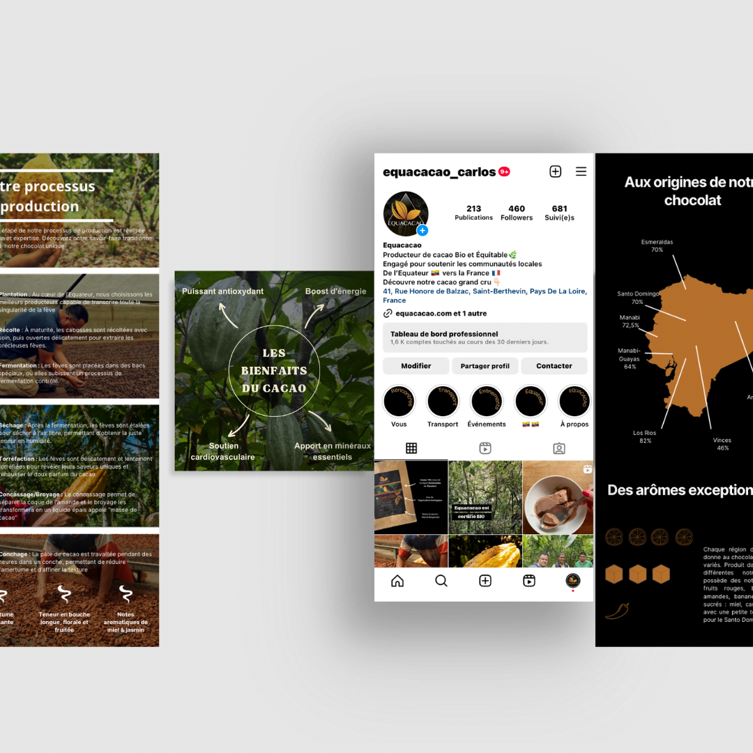 communitymanagement-infographie-instagram expertise-communitymanagement-instagram-linkedin